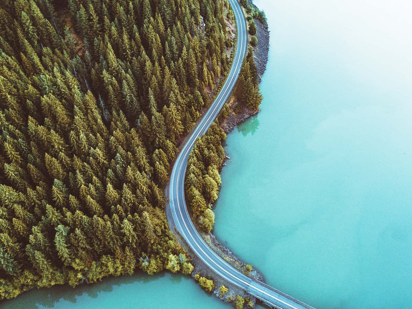 Pogled iz zraka na vijugavu cestu koja prolazi kroz bujnu zelenu šumu, prikazujući prirodni krajolik iz zraka